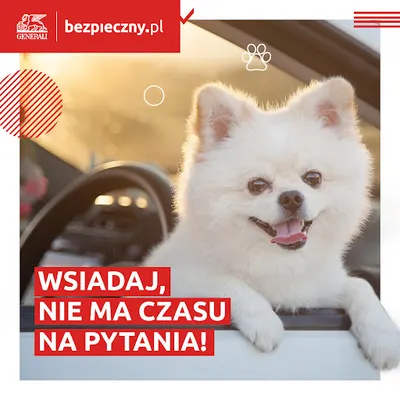 ubezpieczenia Leszno